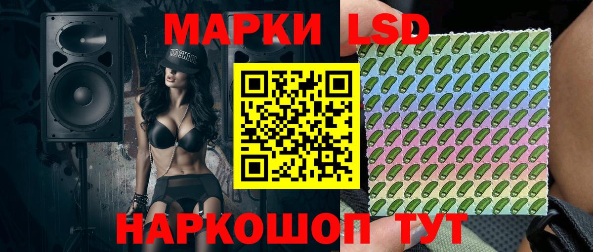 Бошки Шишки Фрязино