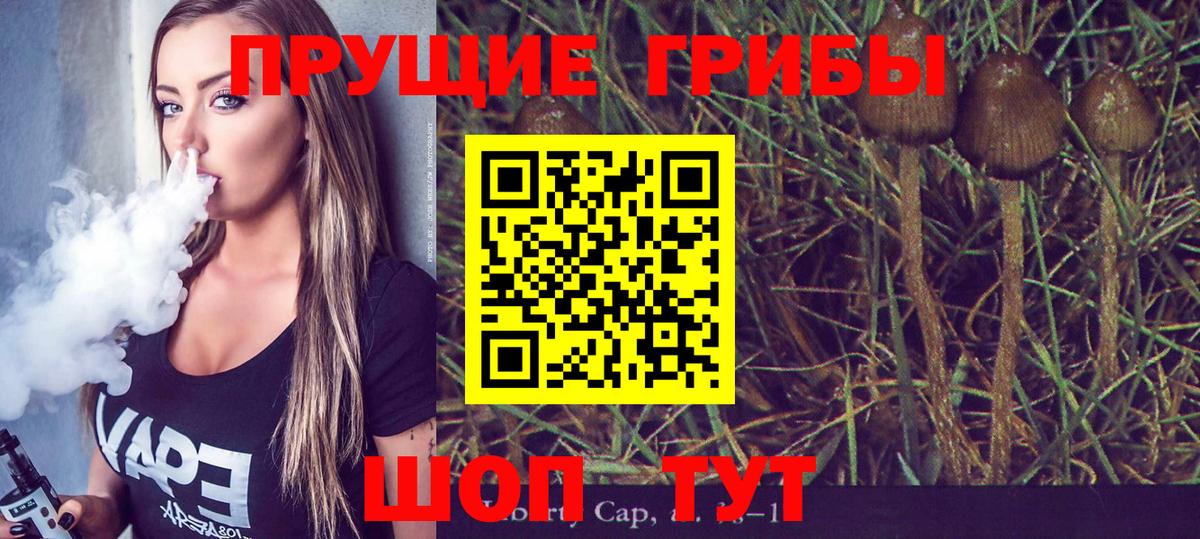 Галлюциногенные грибы GOLDEN TEACHER Фрязино